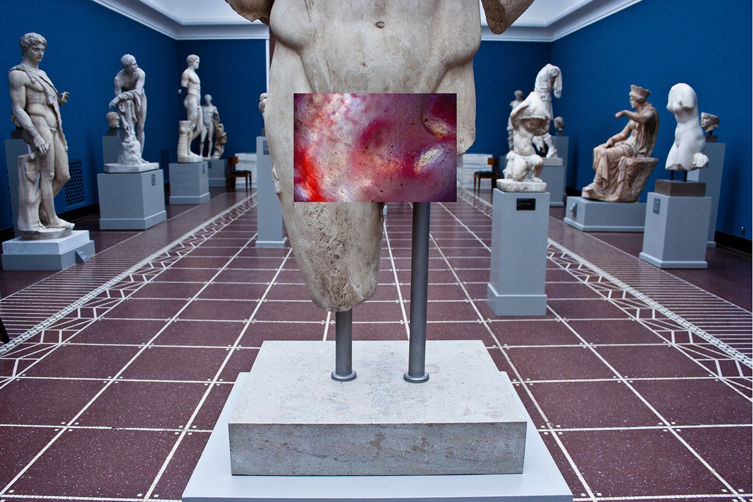 taja-spasskova-segments-artist-project-photography-contemporary-art-